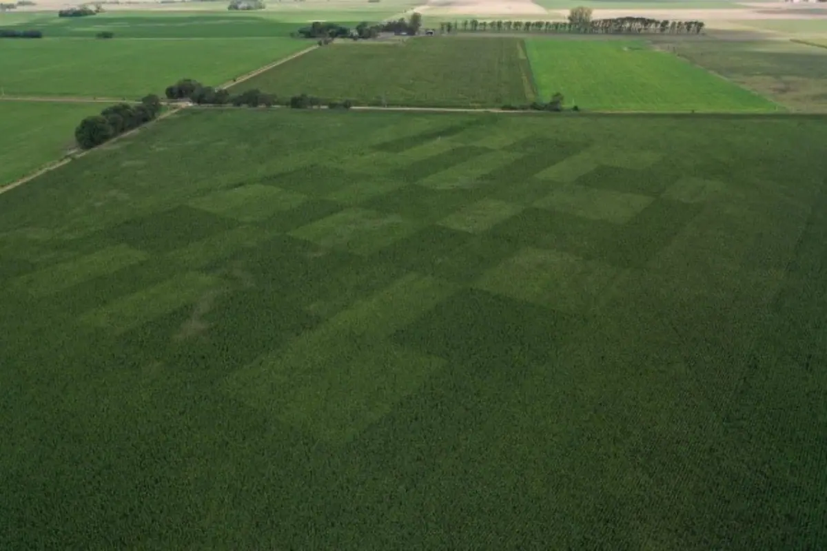 La Agricultura de Precisión y su Impacto en la Nutrición de Cultivos y la Economía Global